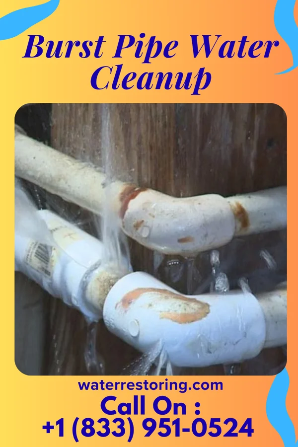 Burst Pipe Water Cleanup in Calwa, CA
