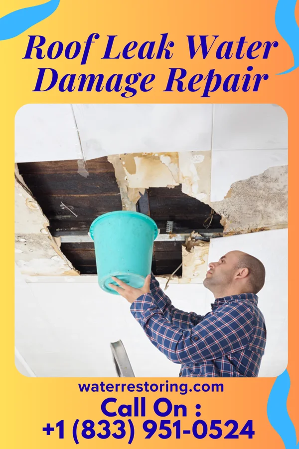 Roof Leak Water Damage Repair in Calwa, CA